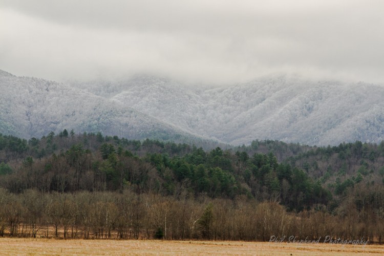 Cades Cove pSp