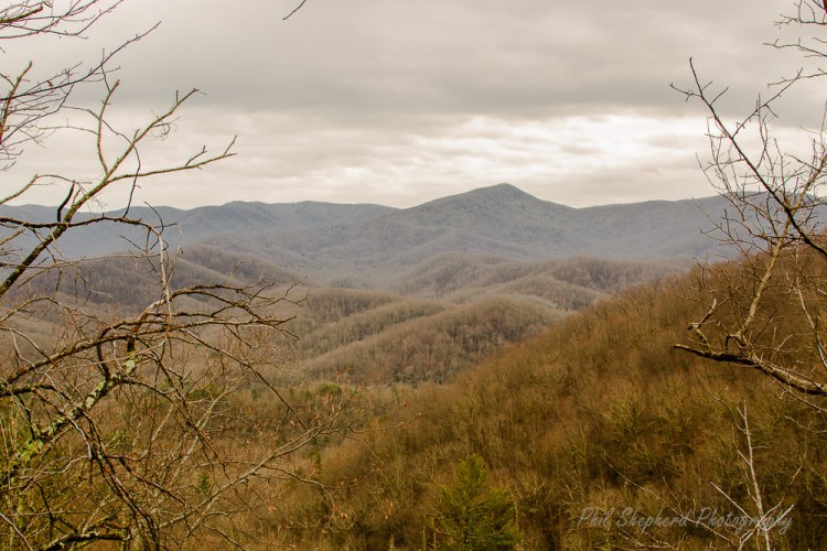 Laurel Trail View pSp