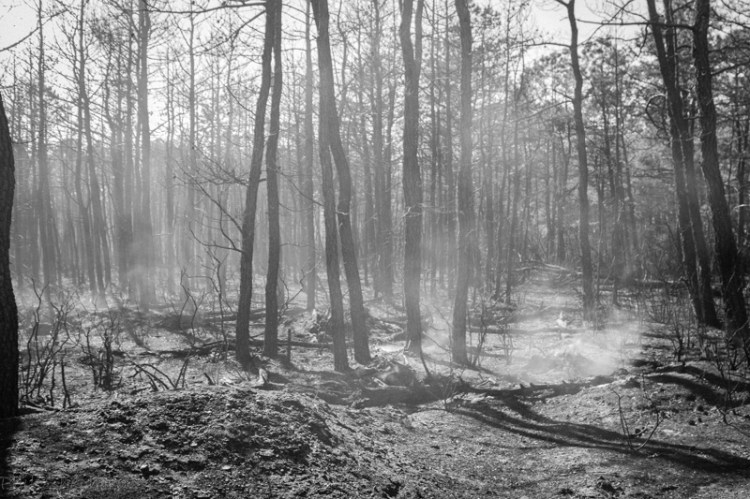 Section of aftermath