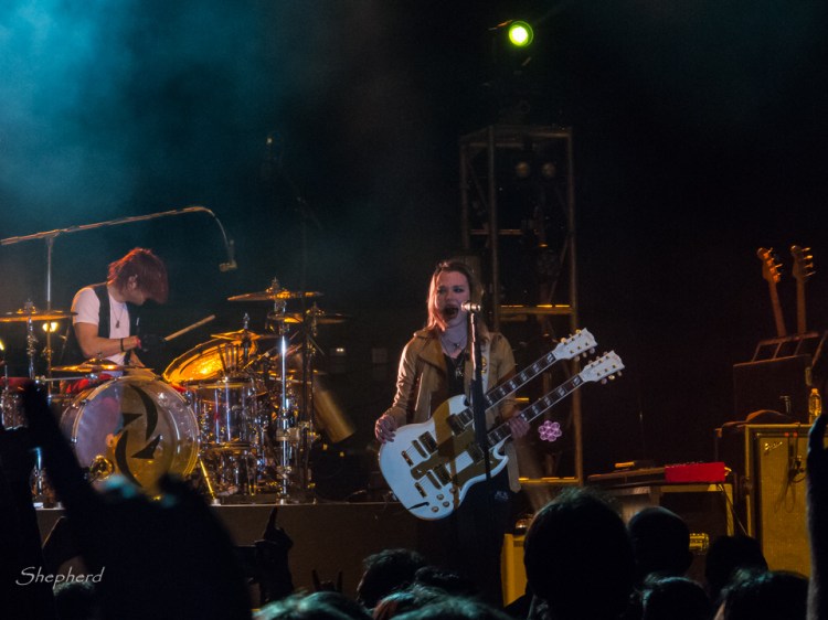 Pony515_PShepherd-64